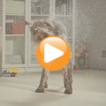 Rapide Ultra 2 Carpet Washer