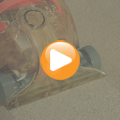 Rapide Ultra 2 Carpet Cleaner