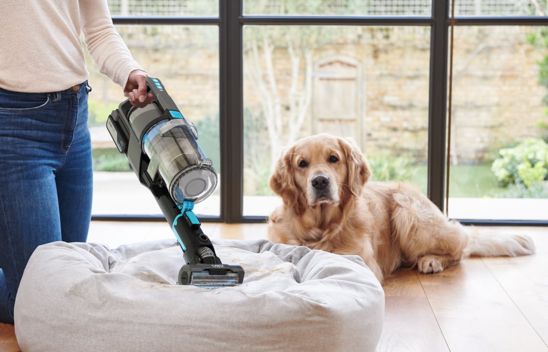 Mini Motorised Pet Tool